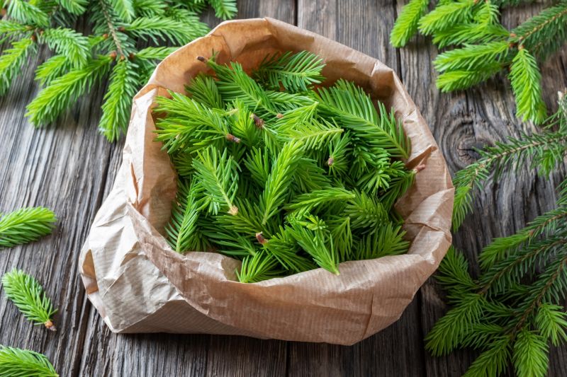 Pine Straw Delivery