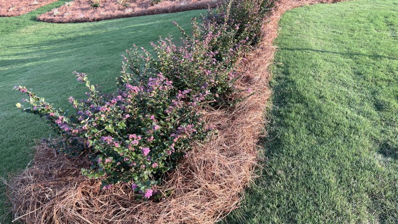 Seasonal Landscaping