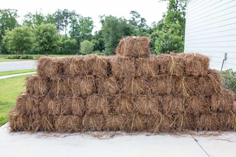 Large Quantity Pine Straw Load