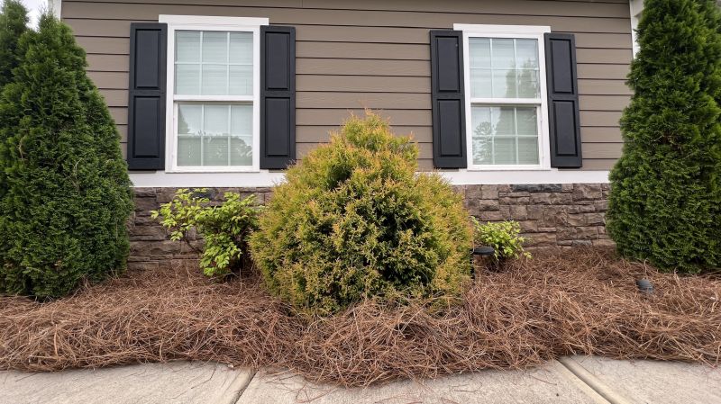 Pine Straw Delivery Costs — Cost of Pine Straw Delivery