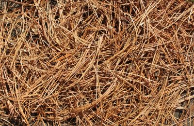 Create an Insulation Layer!