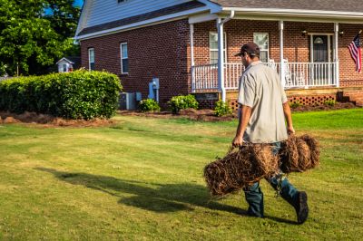 Natural and Organic Weed Control!